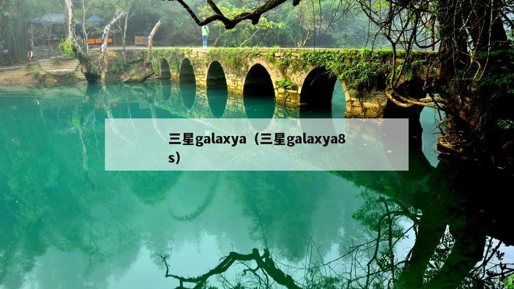 三星galaxya（三星galaxya8s）