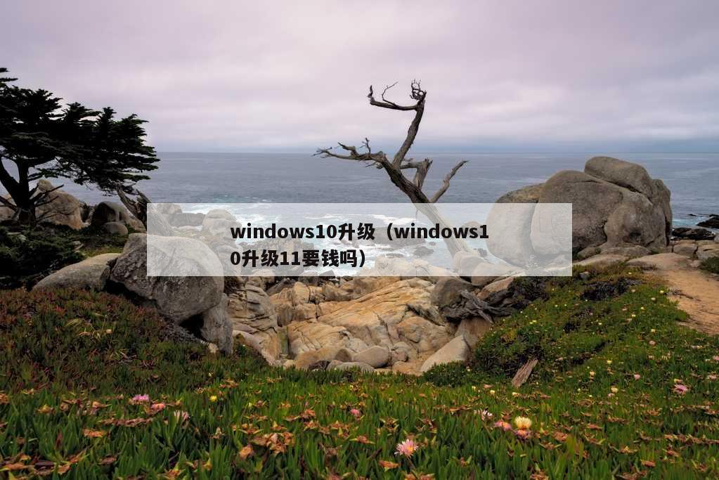 windows10升级（windows10升级11要钱吗）