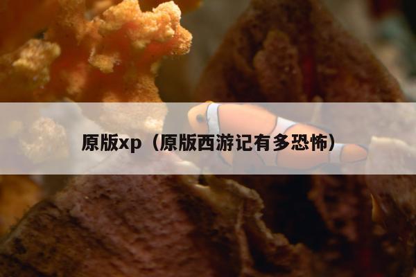 原版xp（原版西游记有多恐怖）