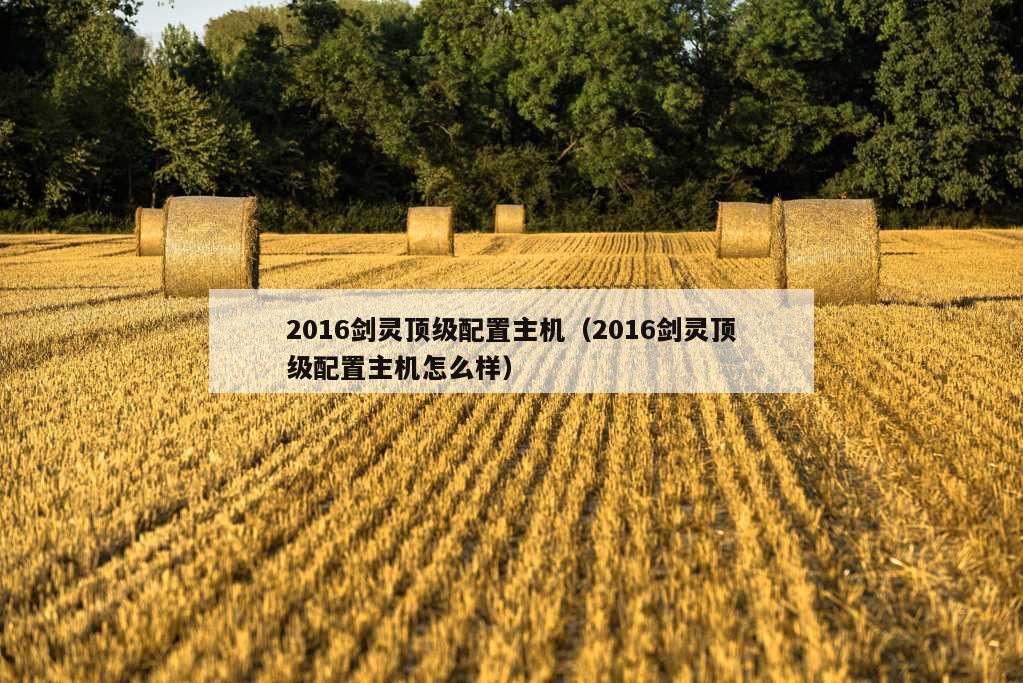 2016剑灵顶级配置主机（2016剑灵顶级配置主机怎么样）