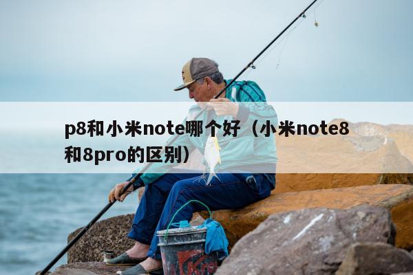 p8和小米note哪个好（小米note8和8pro的区别）