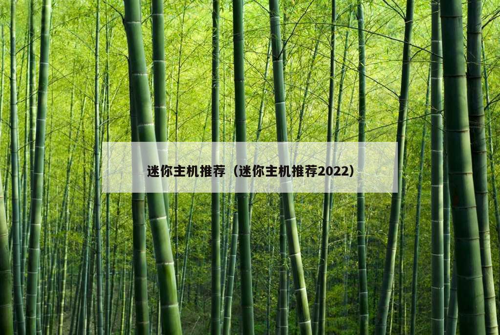 迷你主机推荐（迷你主机推荐2022）