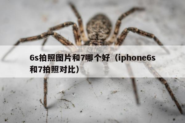 6s拍照图片和7哪个好（iphone6s和7拍照对比）