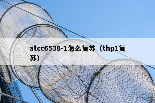 atcc6538-1怎么复苏（thp1复苏）