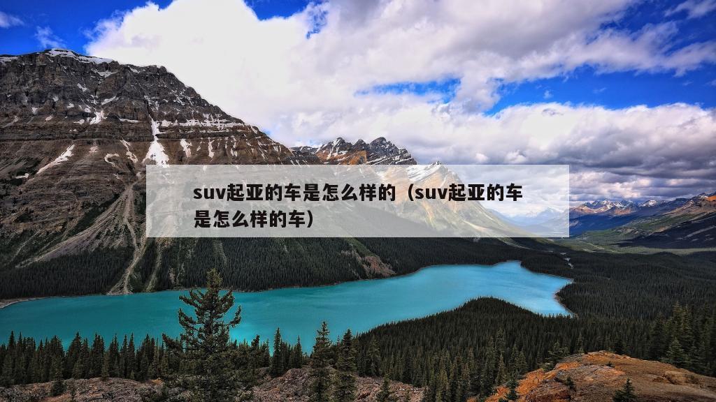 suv起亚的车是怎么样的（suv起亚的车是怎么样的车）