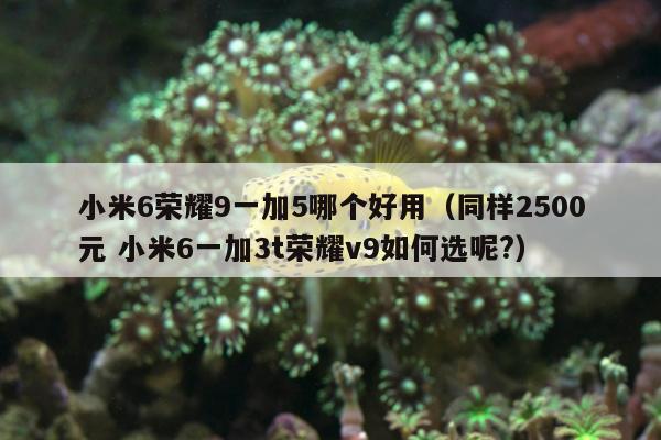 小米6荣耀9一加5哪个好用（同样2500元 小米6一加3t荣耀v9如何选呢?）