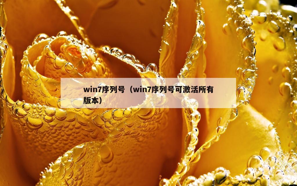 win7序列号（win7序列号可激活所有版本）