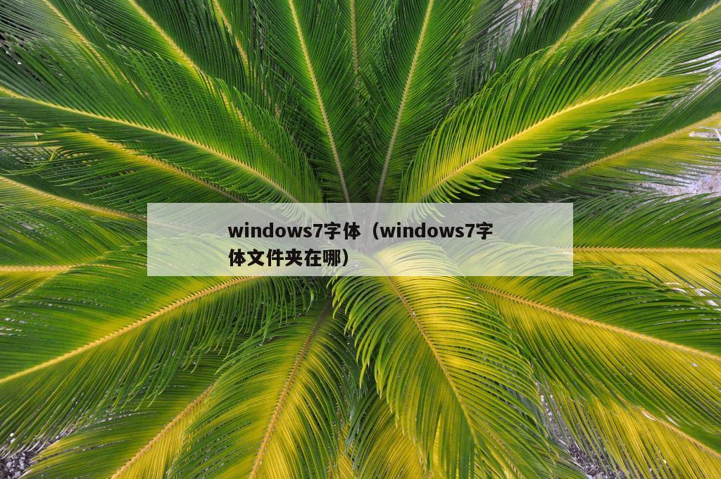 windows7字体（windows7字体文件夹在哪）