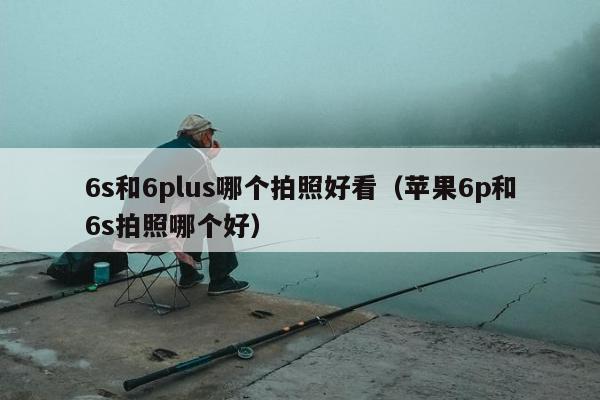 6s和6plus哪个拍照好看（苹果6p和6s拍照哪个好）