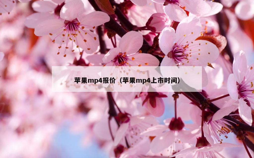 苹果mp4报价（苹果mp4上市时间）