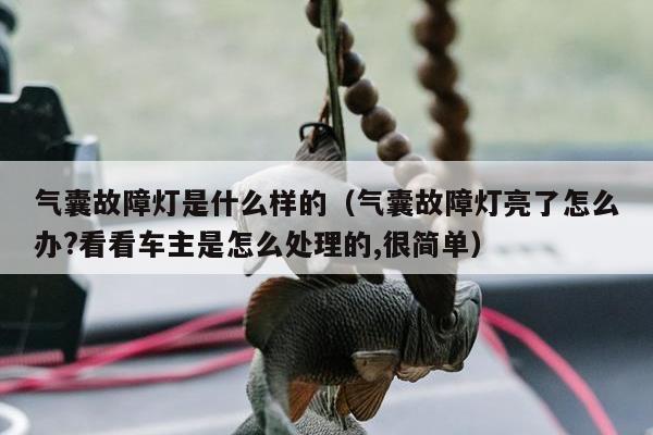 气囊故障灯是什么样的（气囊故障灯亮了怎么办?看看车主是怎么处理的,很简单）