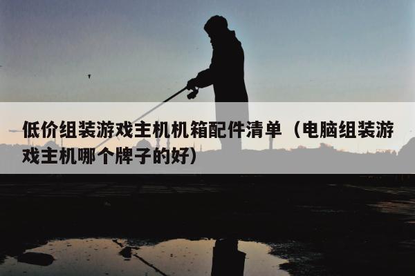 低价组装游戏主机机箱配件清单（电脑组装游戏主机哪个牌子的好）