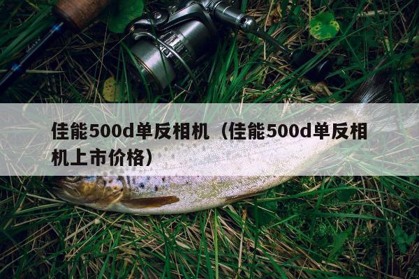 佳能500d单反相机（佳能500d单反相机上市价格）