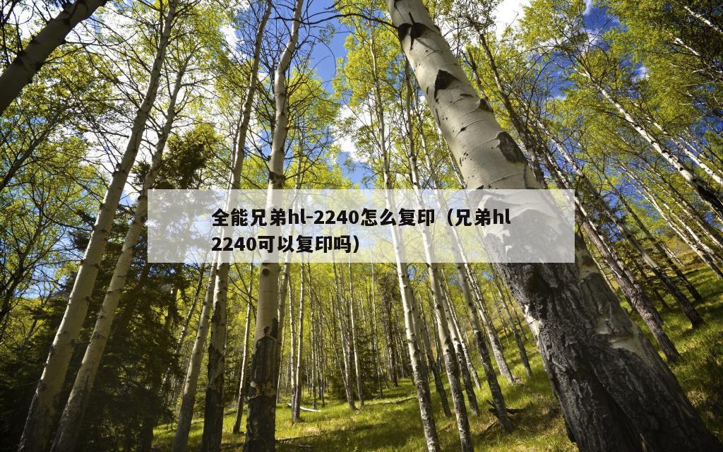 全能兄弟hl-2240怎么复印（兄弟hl2240可以复印吗）