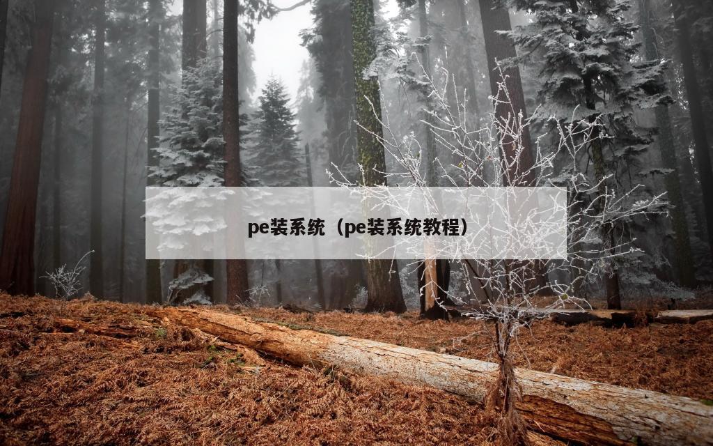 pe装系统（pe装系统教程）