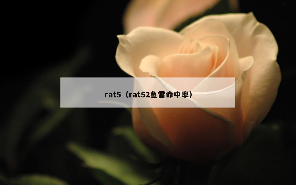 rat5（rat52鱼雷命中率）