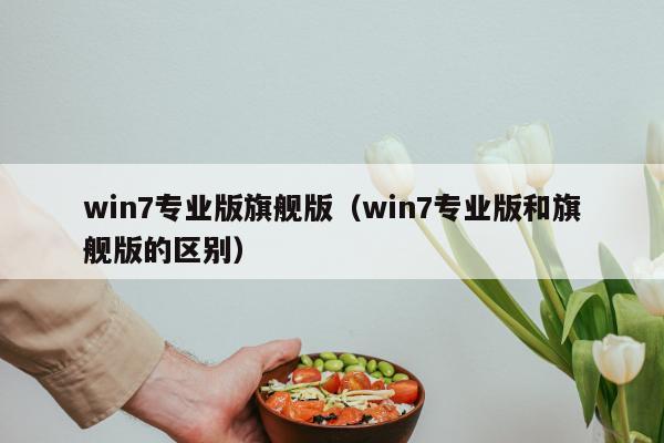 win7专业版旗舰版（win7专业版和旗舰版的区别）