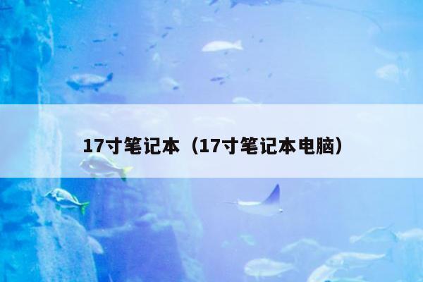 17寸笔记本（17寸笔记本电脑）