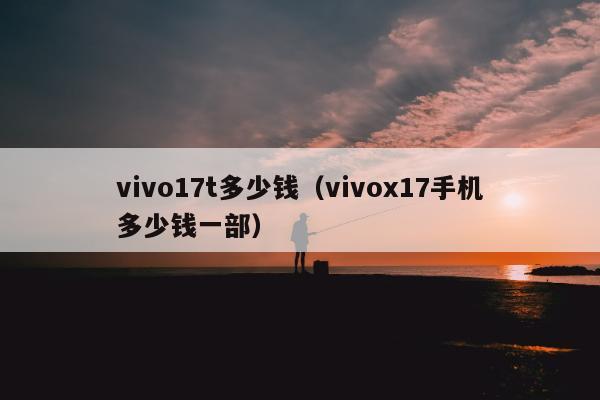 vivo17t多少钱（vivox17手机多少钱一部）