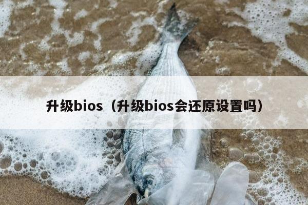 升级bios（升级bios会还原设置吗）