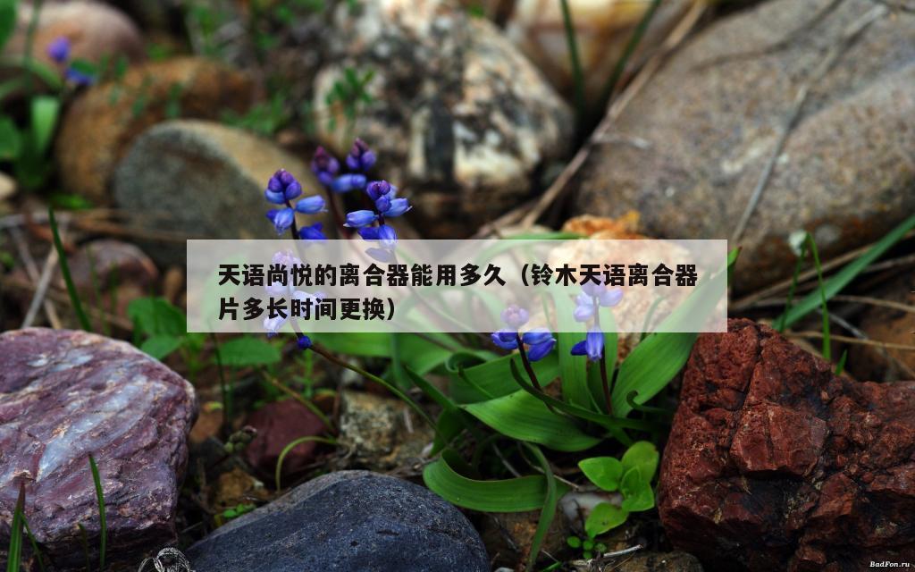 天语尚悦的离合器能用多久（铃木天语离合器片多长时间更换）