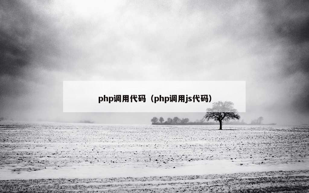 php调用代码（php调用js代码）