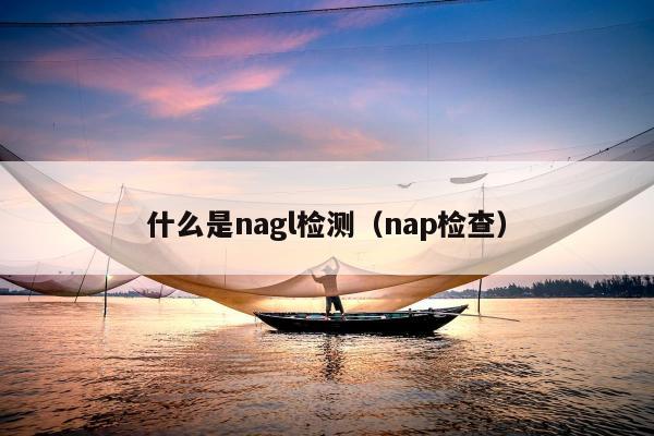 什么是nagl检测（nap检查）