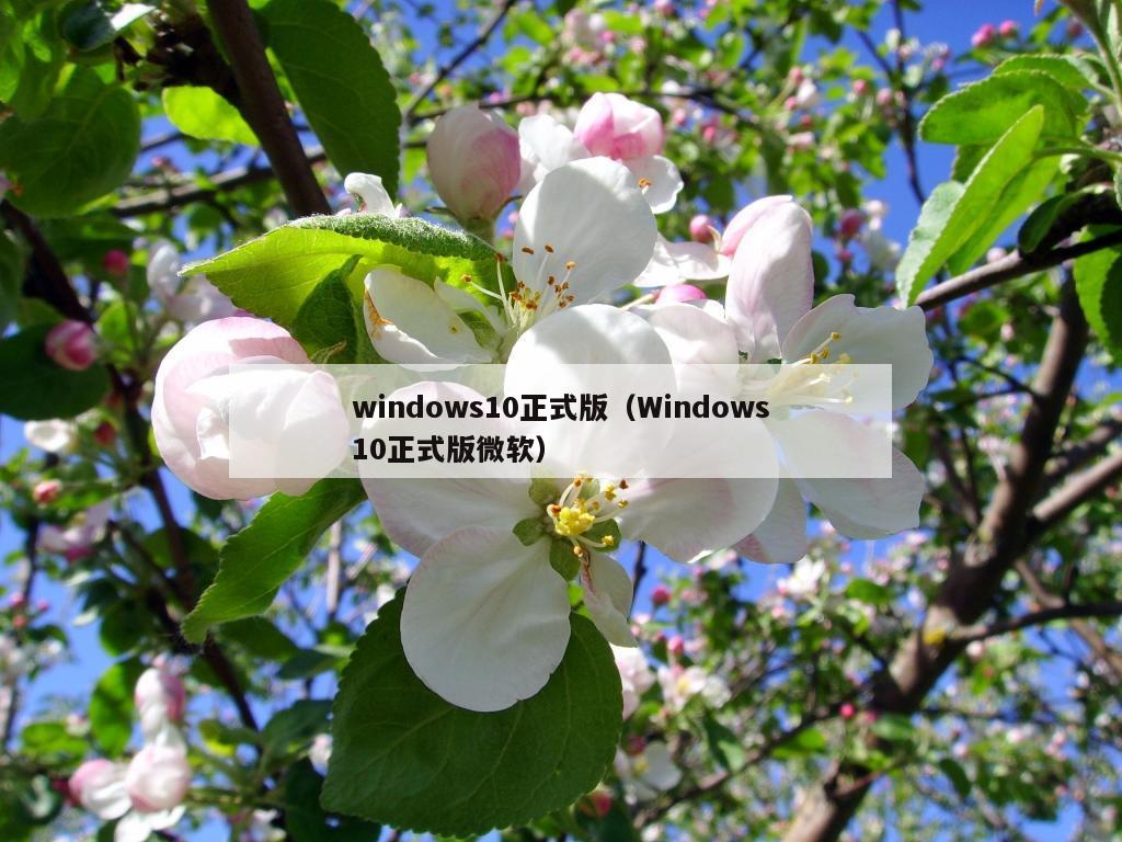 windows10正式版（Windows10正式版微软）