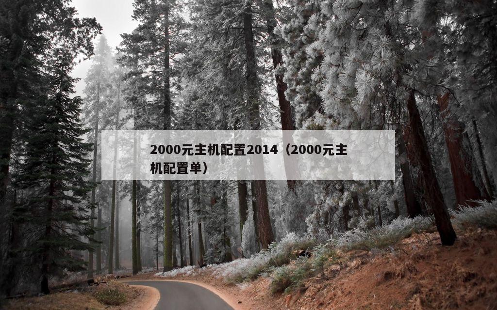 2000元主机配置2014（2000元主机配置单）