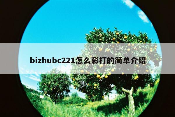 bizhubc221怎么彩打的简单介绍