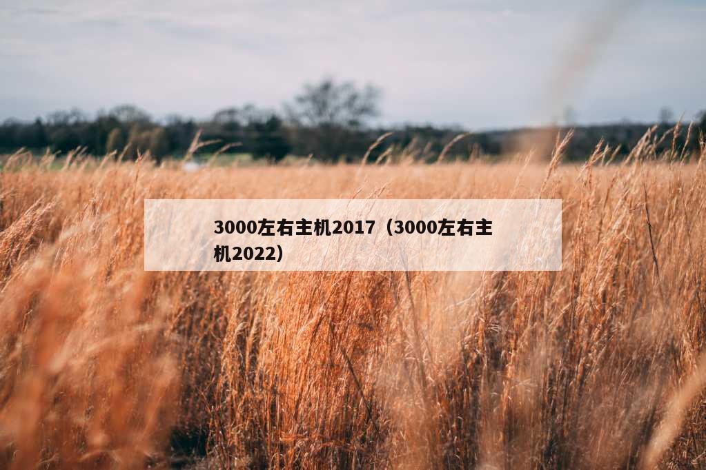 3000左右主机2017（3000左右主机2022）