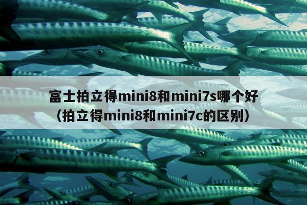 富士拍立得mini8和mini7s哪个好（拍立得mini8和mini7c的区别）