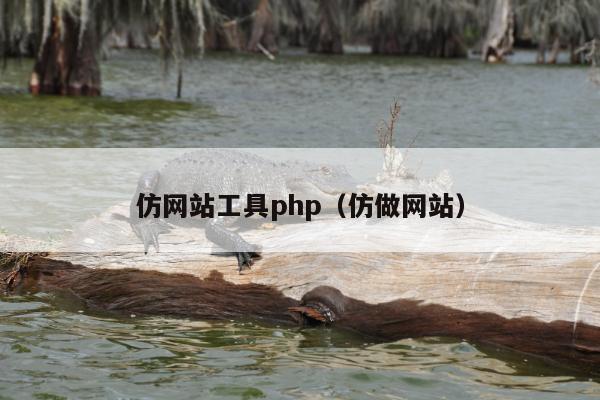 仿网站工具php（仿做网站）