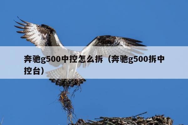 奔驰g500中控怎么拆（奔驰g500拆中控台）