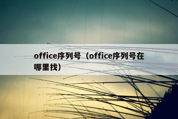 office序列号（office序列号在哪里找）