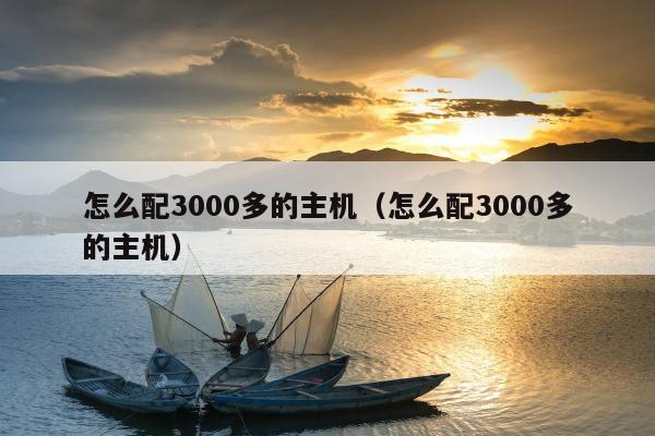 怎么配3000多的主机（怎么配3000多的主机）