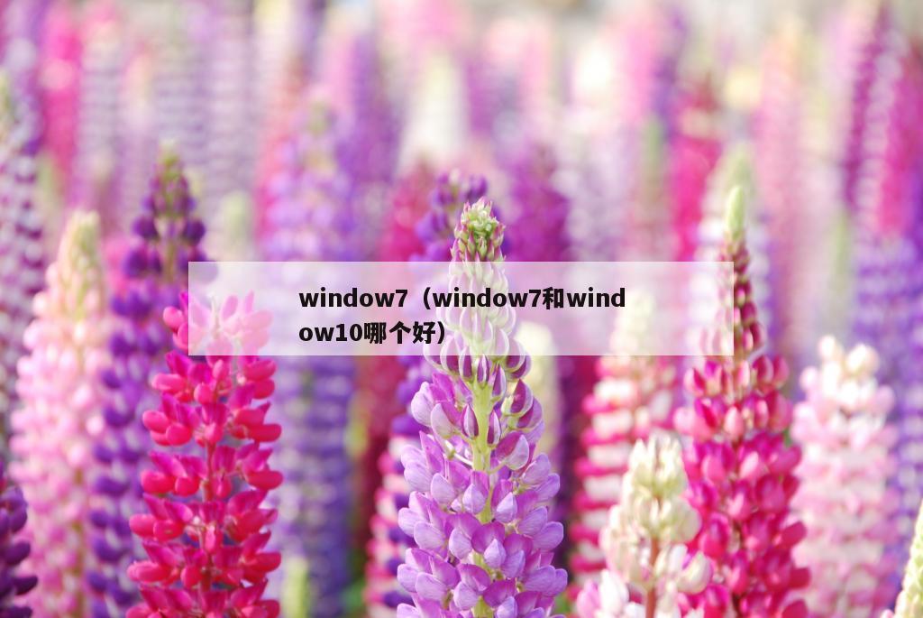 window7（window7和window10哪个好）