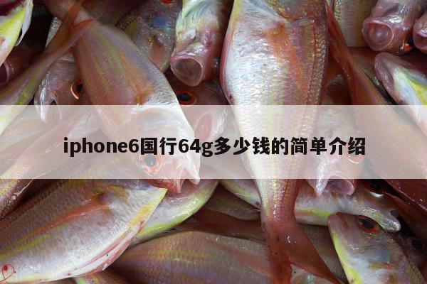 iphone6国行64g多少钱的简单介绍