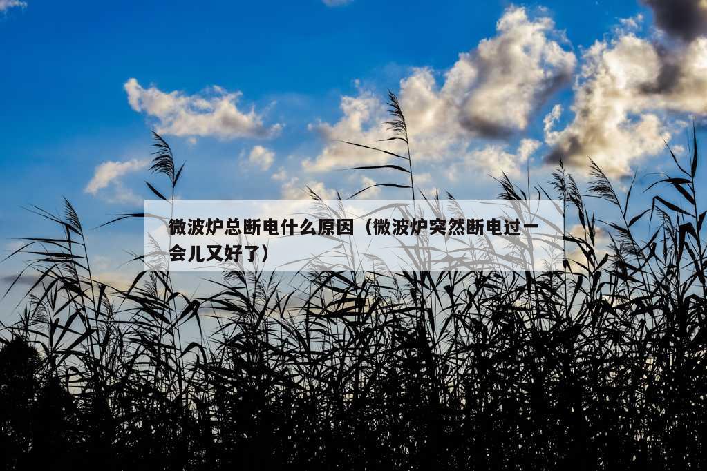 微波炉总断电什么原因（微波炉突然断电过一会儿又好了）