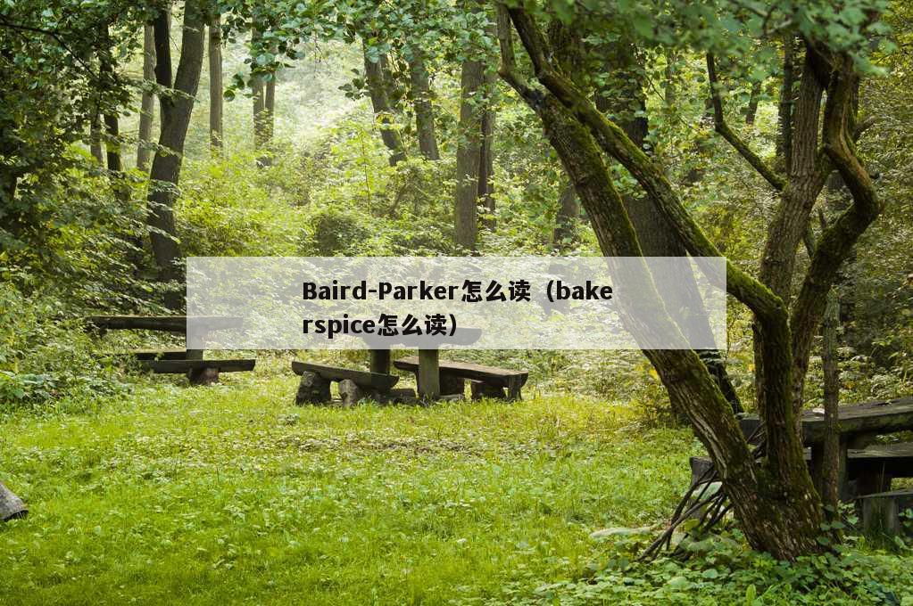 Baird-Parker怎么读（bakerspice怎么读）