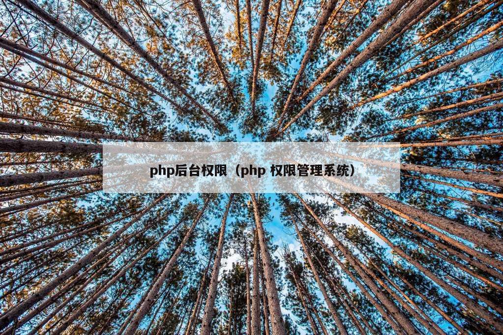 php后台权限（php 权限管理系统）