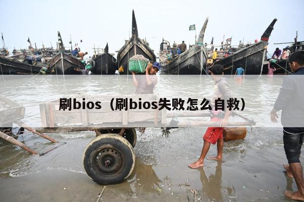 刷bios（刷bios失败怎么自救）