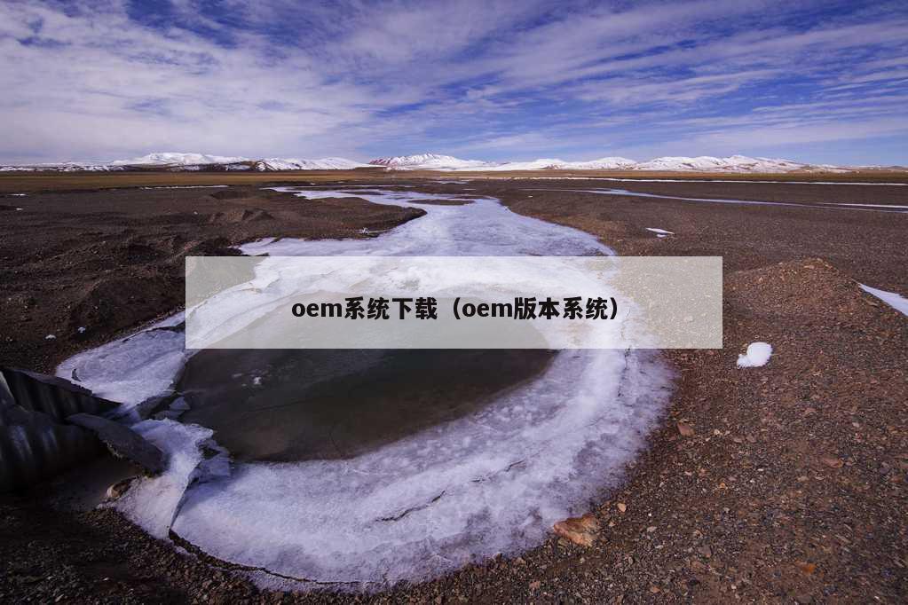 oem系统下载（oem版本系统）