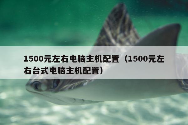 1500元左右电脑主机配置（1500元左右台式电脑主机配置）