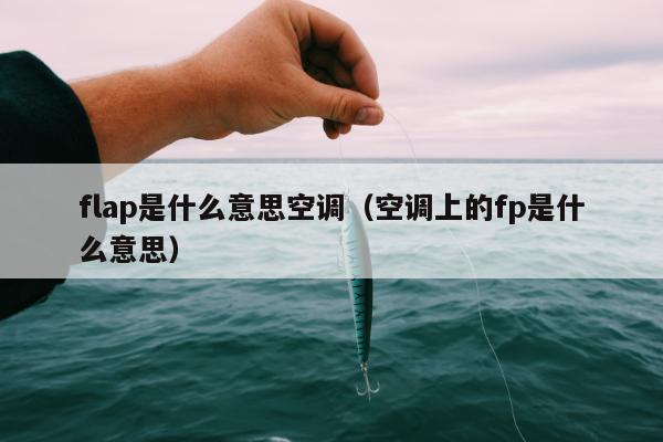 flap是什么意思空调（空调上的fp是什么意思）