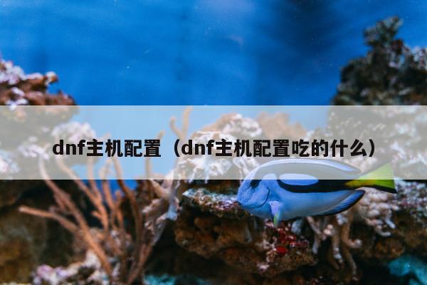 dnf主机配置（dnf主机配置吃的什么）