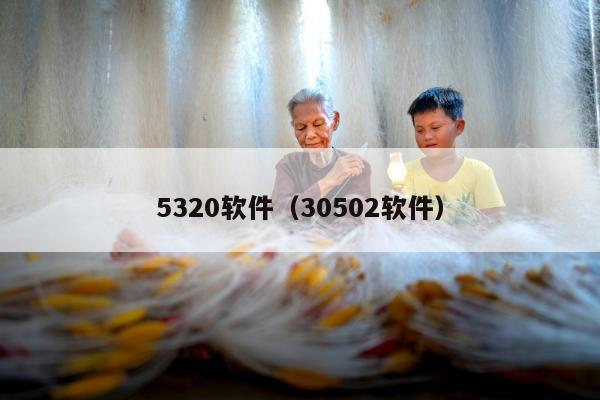 5320软件（30502软件）