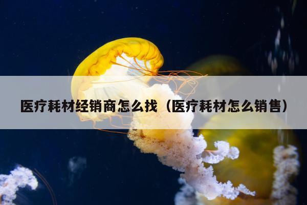 医疗耗材经销商怎么找（医疗耗材怎么销售）