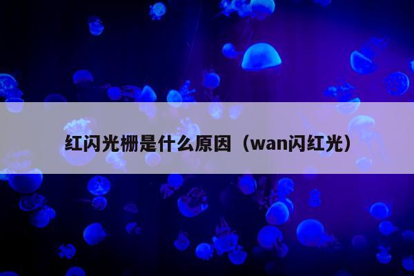 红闪光栅是什么原因（wan闪红光）