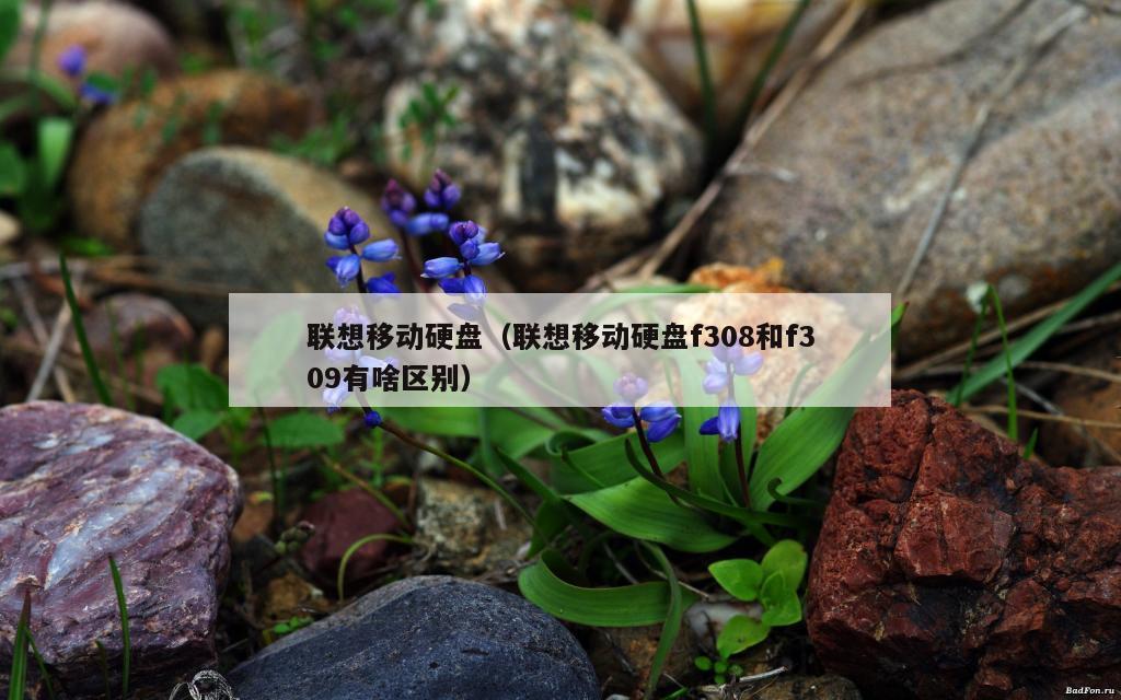 联想移动硬盘（联想移动硬盘f308和f309有啥区别）